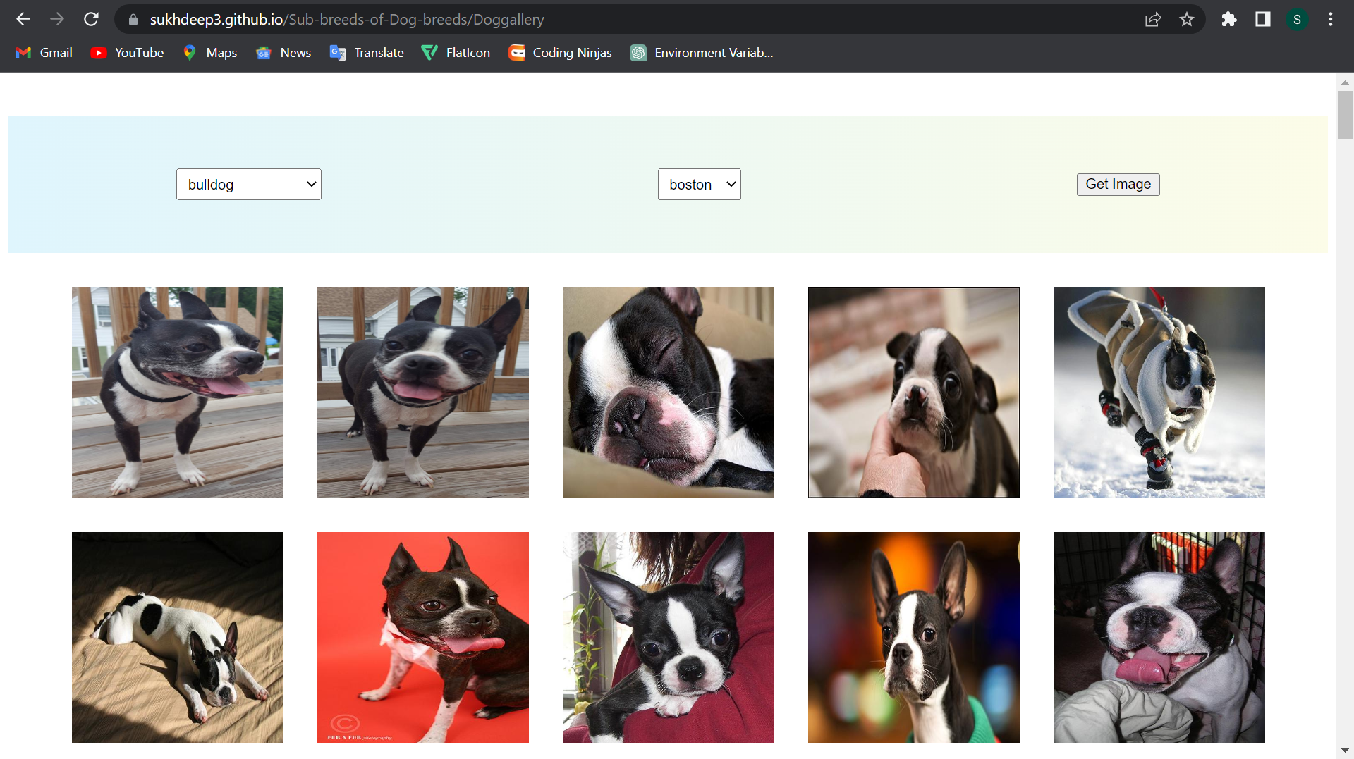 dog-sub-breeds